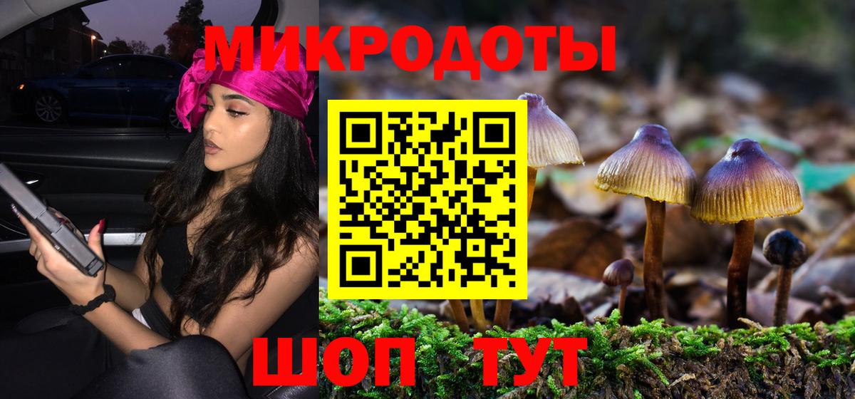 Новодвинск  Галлюциногенные грибы MAGIC MUSHROOMS  Вход с VPN 