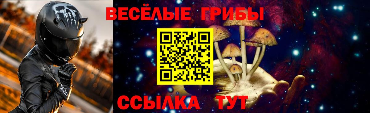 Псилоцибиновые грибы Magic Shrooms Новодвинск