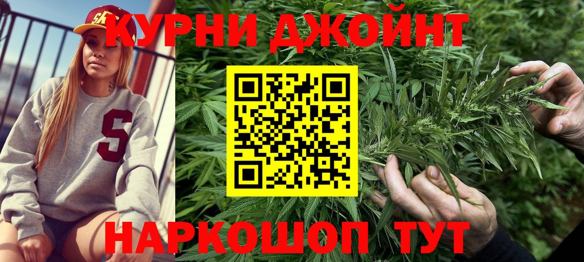 Канабис конопля  Канабис MAZAR  Канабис White Widow  Новодвинск  Вход с VPN 